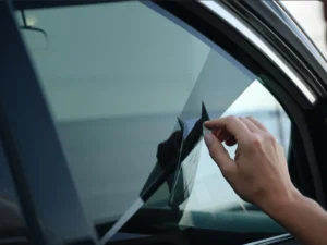 Tinted windows law in florida